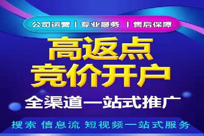 网站sem托管案例分享：如何精准投放广告